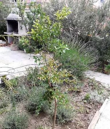 Doris I Iris Ποντστράνα